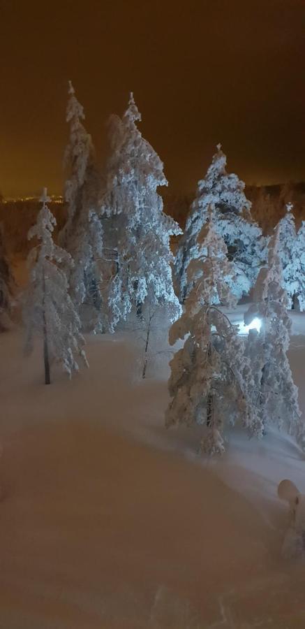 Apartman Mina Divcibare Luaran gambar